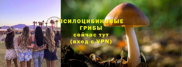 тгк Алзамай
