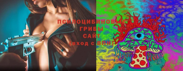молекула духа Ступино