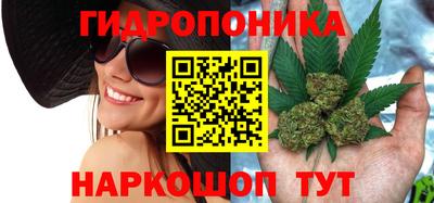 крисы Сланцы