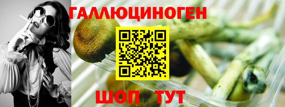 Галлюциногенные грибы Psilocybine cubensis  Вход с VPN  Усть-Лабинск 