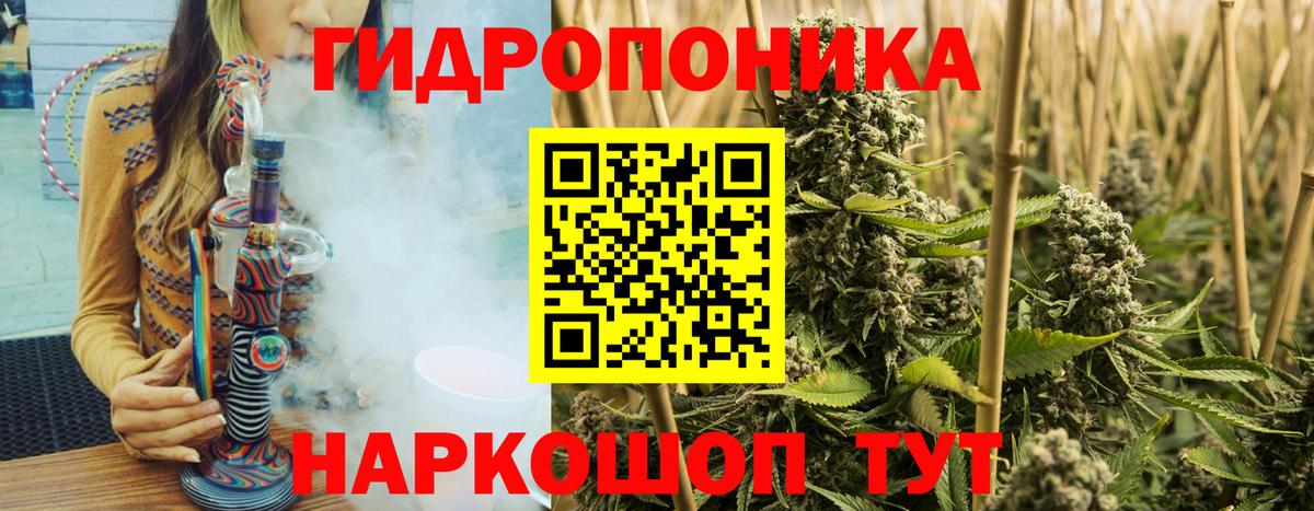Конопля гибрид Усть-Лабинск